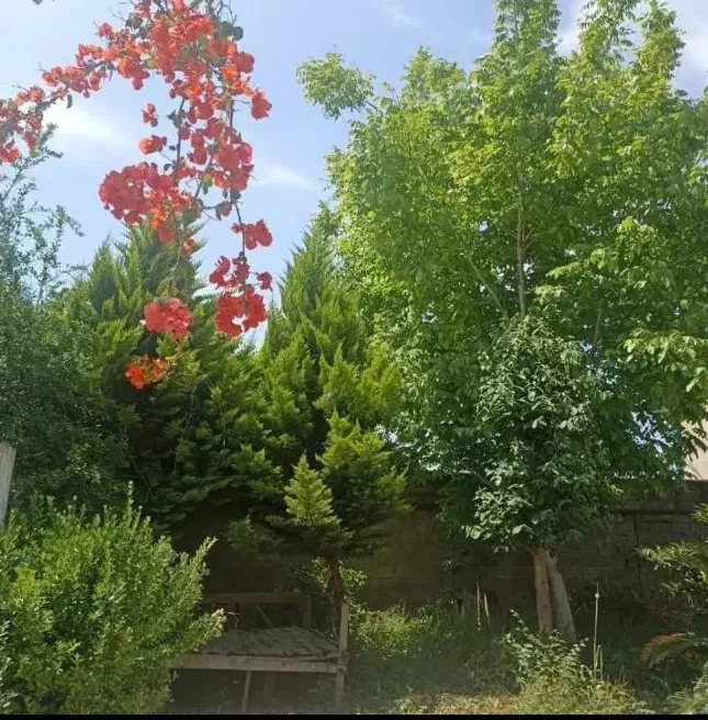 فروش ویلای شهری ۳۴۰متری در شمال کشور|فروش خانه و ویلا|اصفهان, نقش جهان|دیوار
