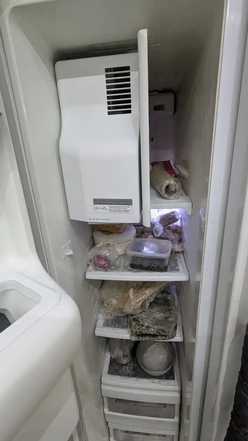 یخچال ساید بای ساید سامسونگ|یخچال و فریزر|فولادشهر, B7|دیوار