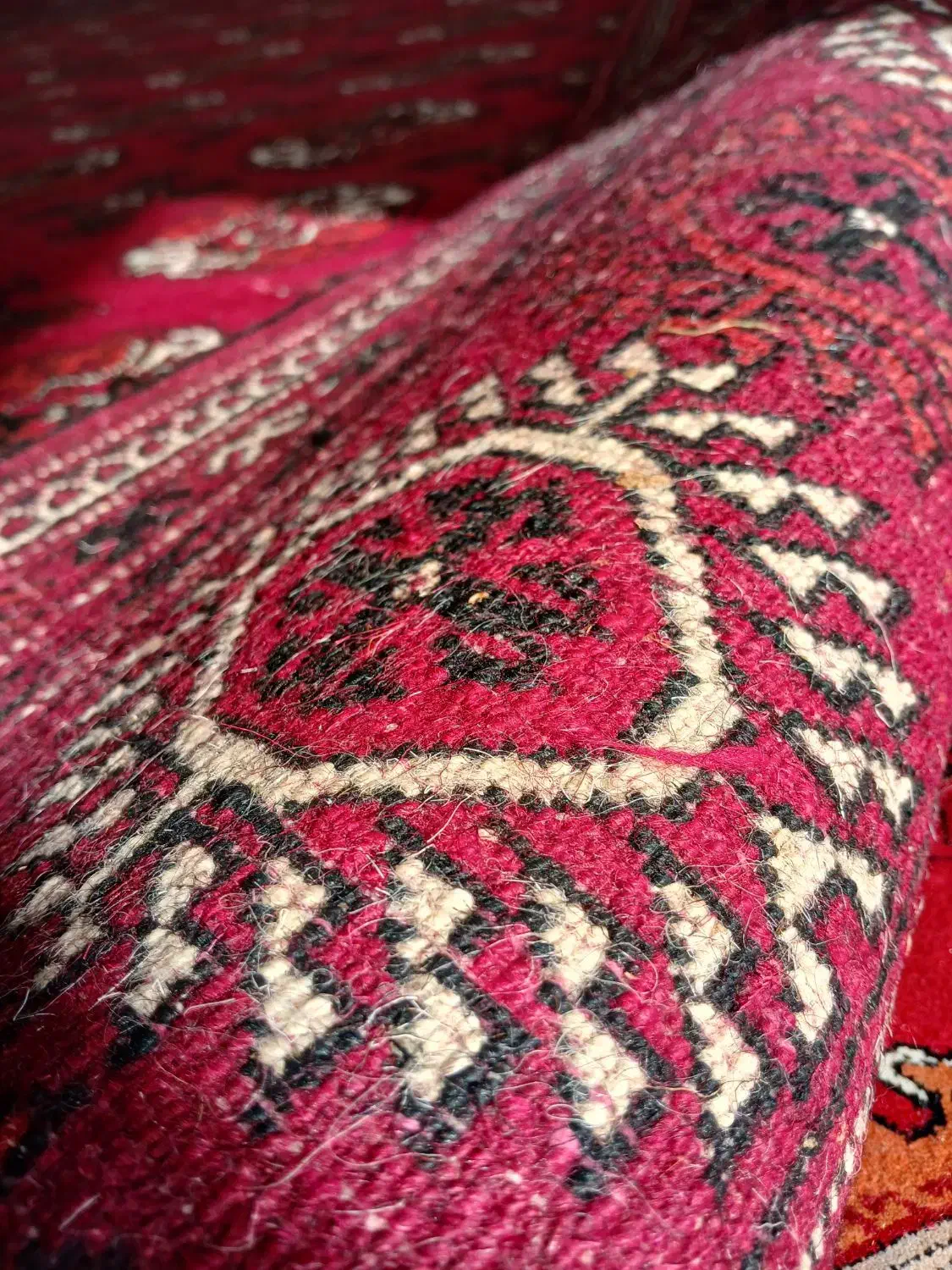 قالی ترکمنی اصیل دست باف|فرش|گنبد کاووس, |دیوار