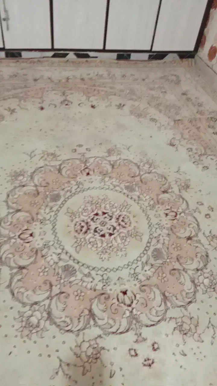 قالی|فرش|سوسنگرد, |دیوار