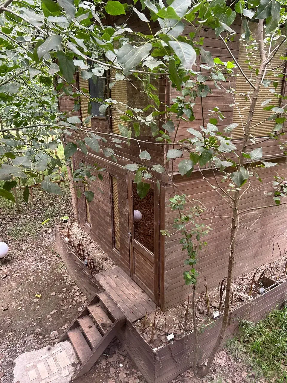 ویلایی از چوب در دل یک منطقه گردشگری زنده|فروش خانه و ویلا|سبزوار, پیروزی|دیوار