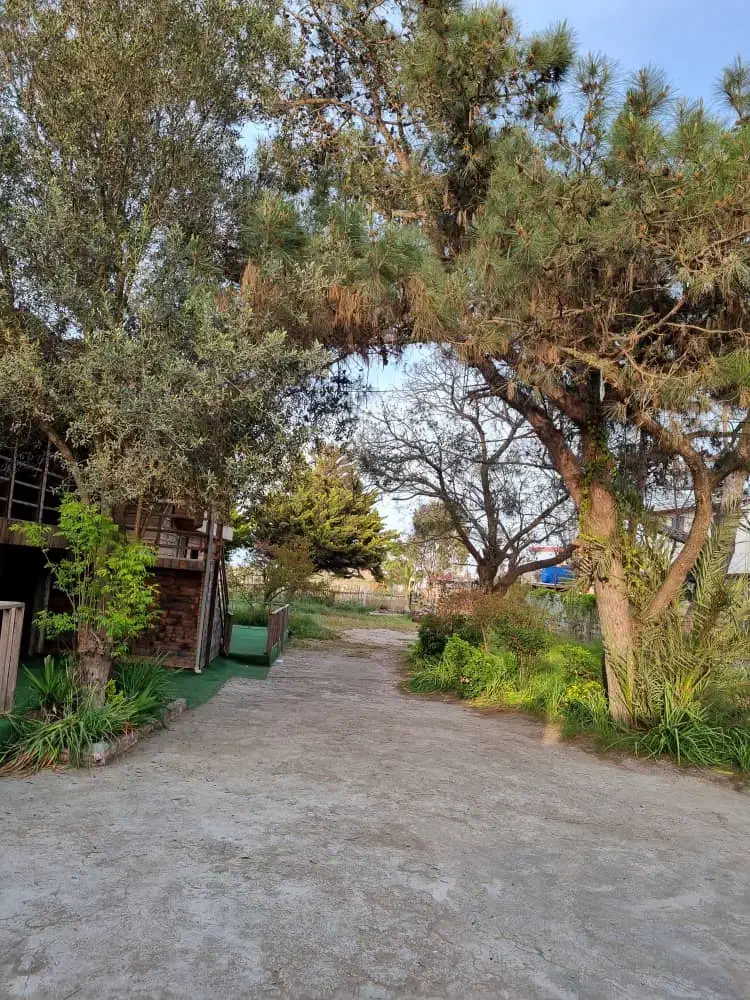 ویلای ساحلی با ۵ متر فاصله از دریا قیمت توافقی|اجارهٔ کوتاهمدت ویلا و باغ|فرح آباد, |دیوار