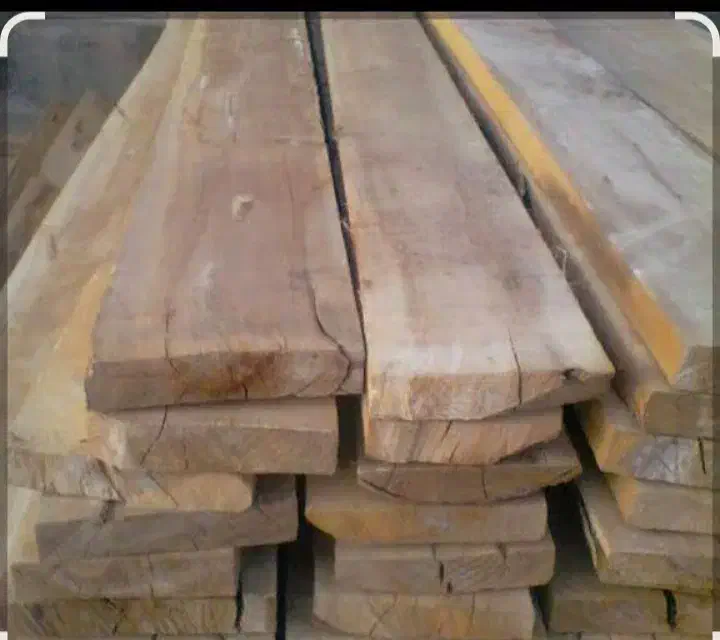 تخته بنایی|مصالح و تجهیزات ساختمان|گنبد کاووس, |دیوار