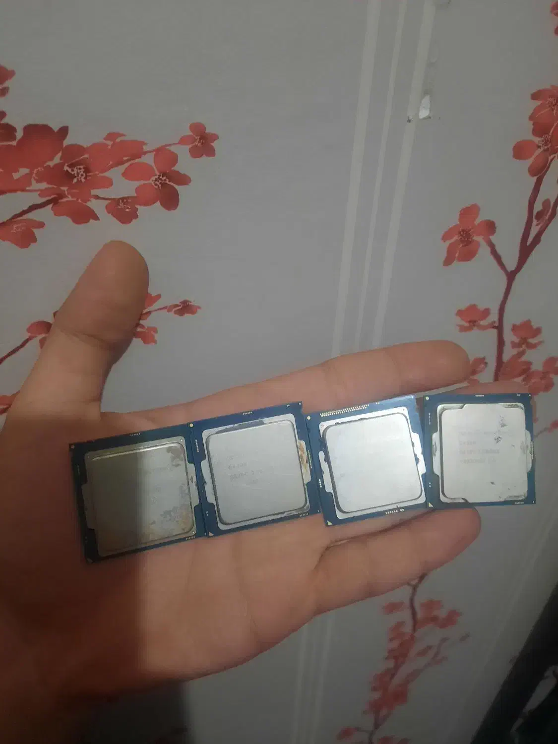 cpu|قطعات و لوازم جانبی رایانه|فردیس, شهرک شهید حسینی|دیوار