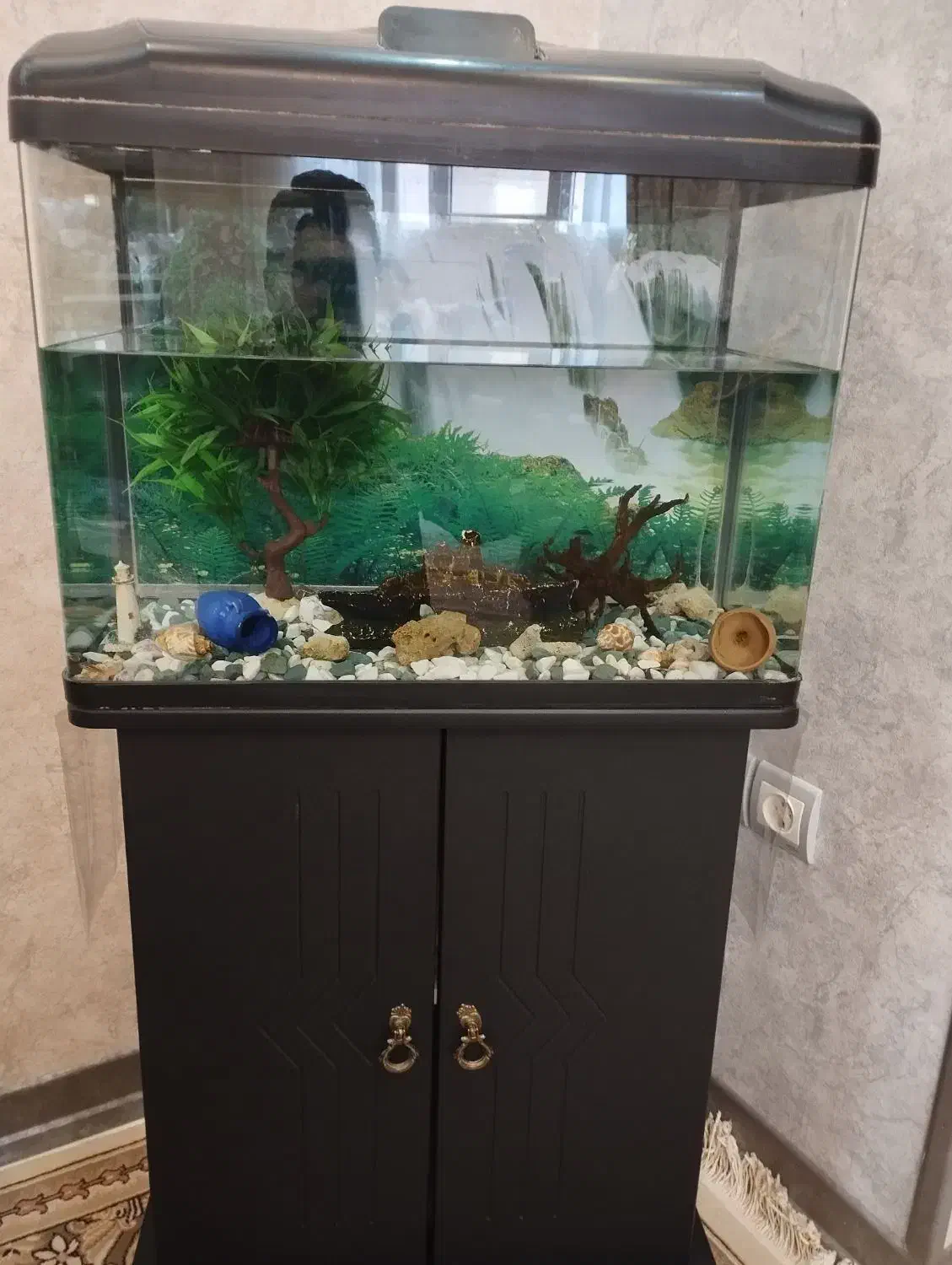 آکواریوم با میز|ماهی|فولادشهر, مسکن مهر فولادشهر|دیوار