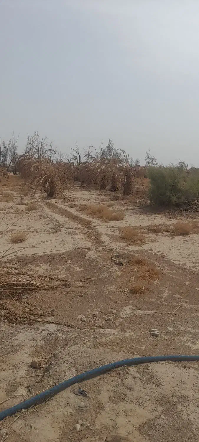 فروش چاه آب کشاورزی وزمین|اجارهٔ دفتر صنعتی، کشاورزی، تجاری|ایرانشهر, |دیوار