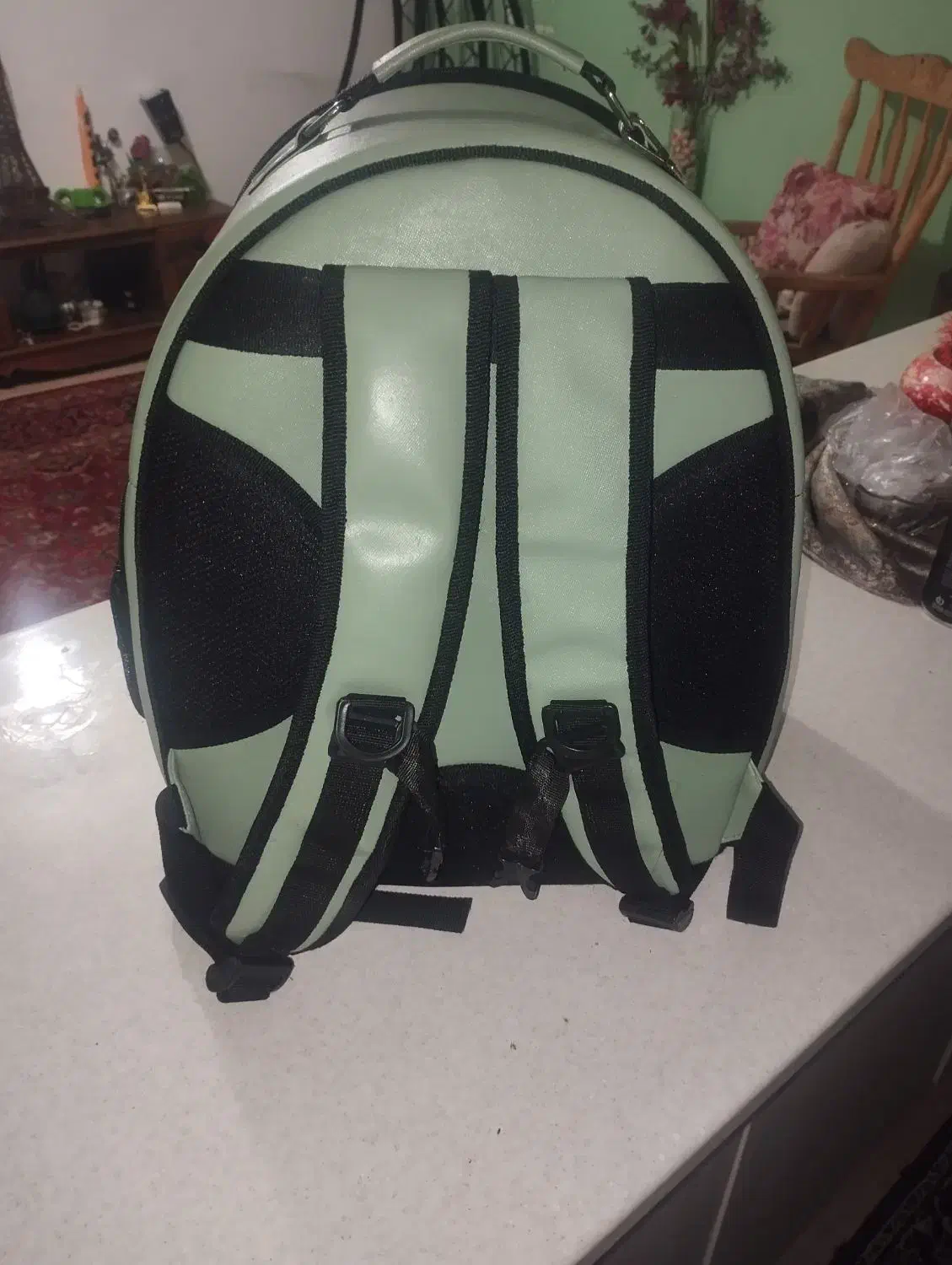 کیف حمل سگ وگربه|کیف، کفش، کمربند|قزوین, |دیوار