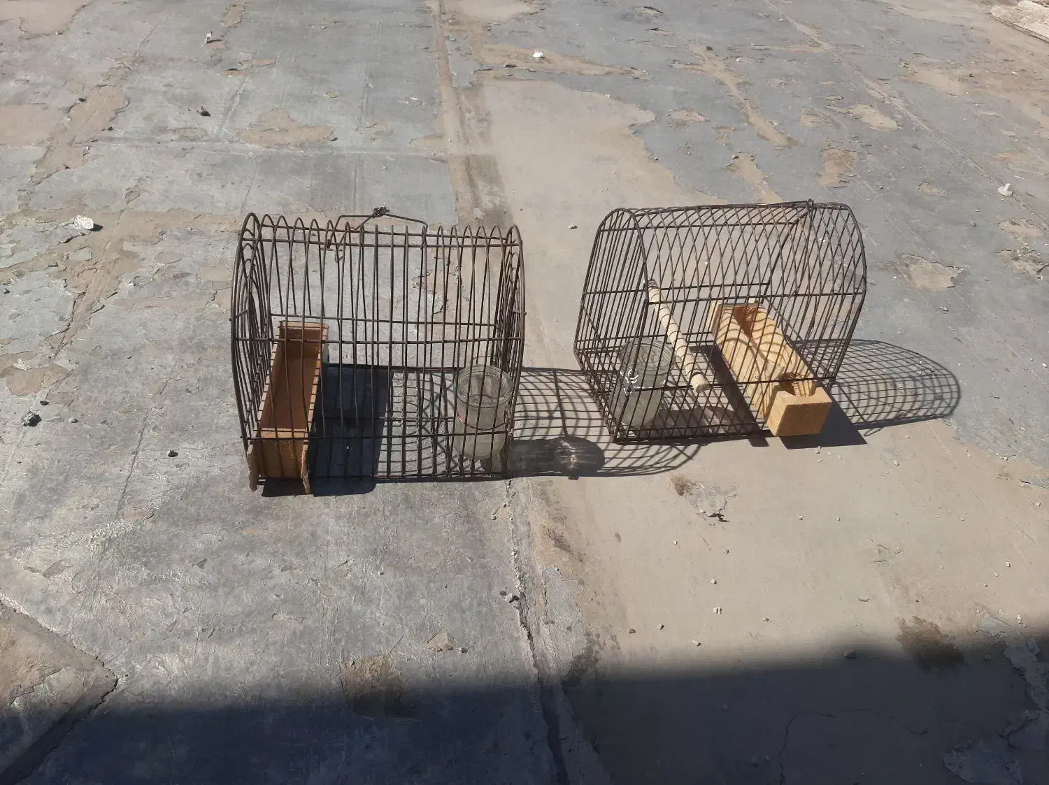 قفس|لوازم جانبی حیوانات|شیراز, کوشک میدان|دیوار