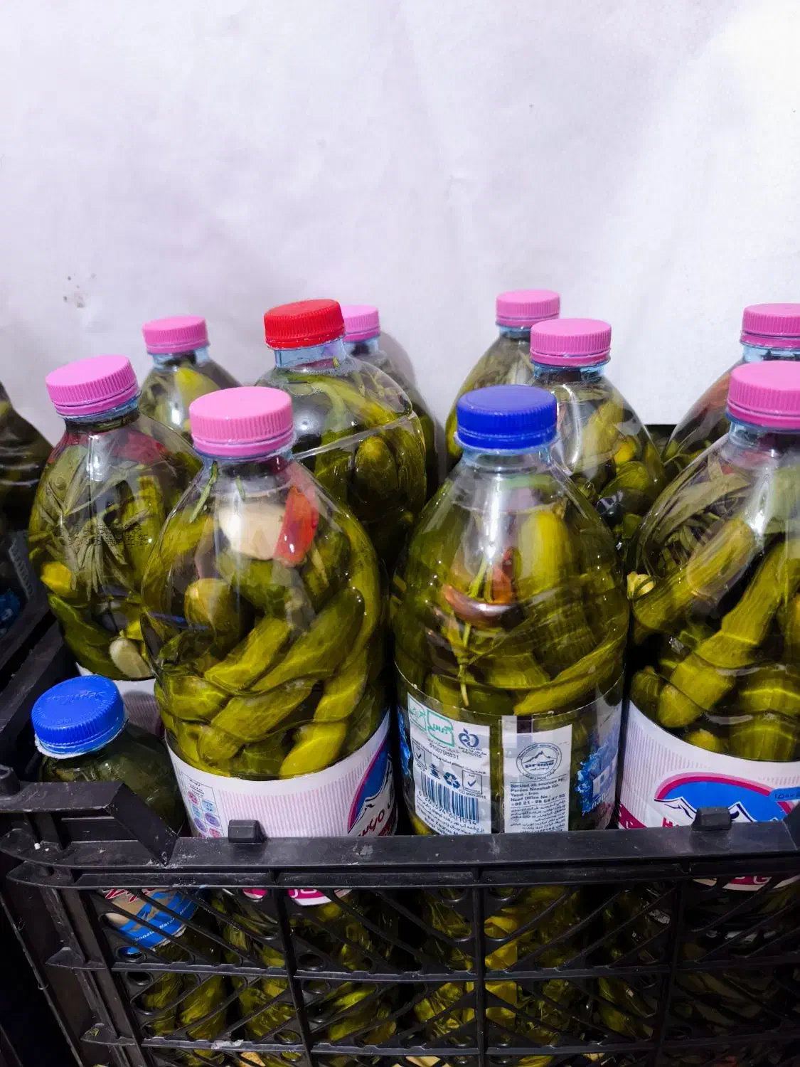 فروش|خوردنی و آشامیدنی|قیروکارزین, |دیوار