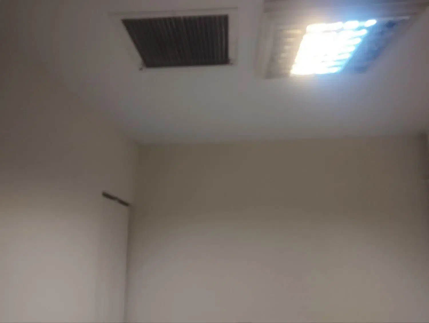 نقاش ،نقاشی کناف و ساختمان ، گچکاری بدون موج|خدمات پیشه و مهارت|همدان, |دیوار