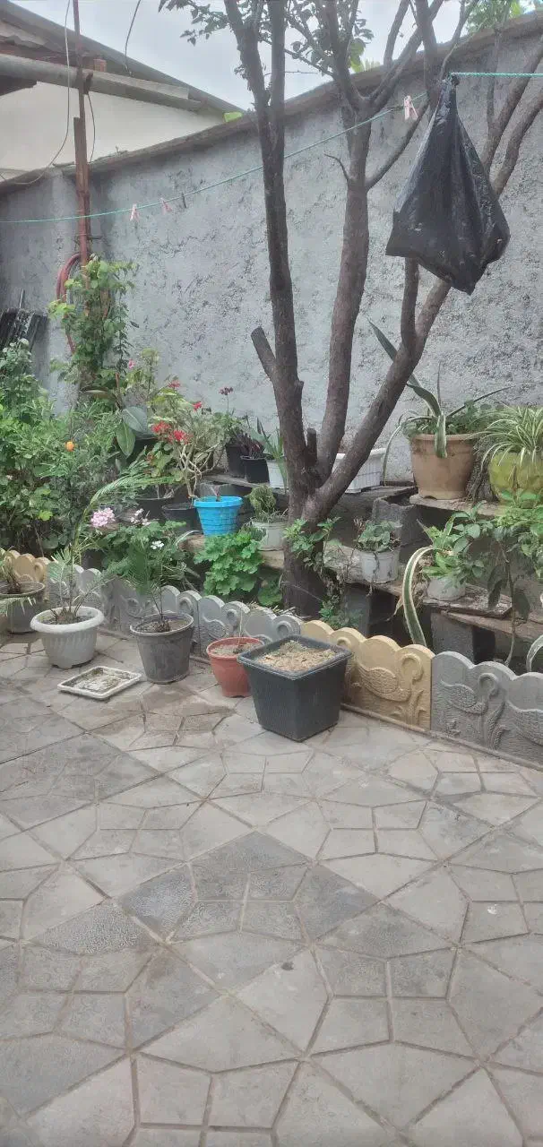 خانه حیاط دار|فروش خانه و ویلا|ارطه, |دیوار