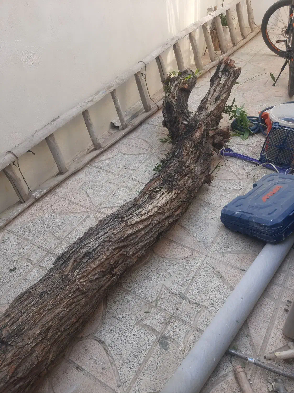 تنه ی درخت|گل و گیاه طبیعی|محمدشهر, شهرک چمران|دیوار