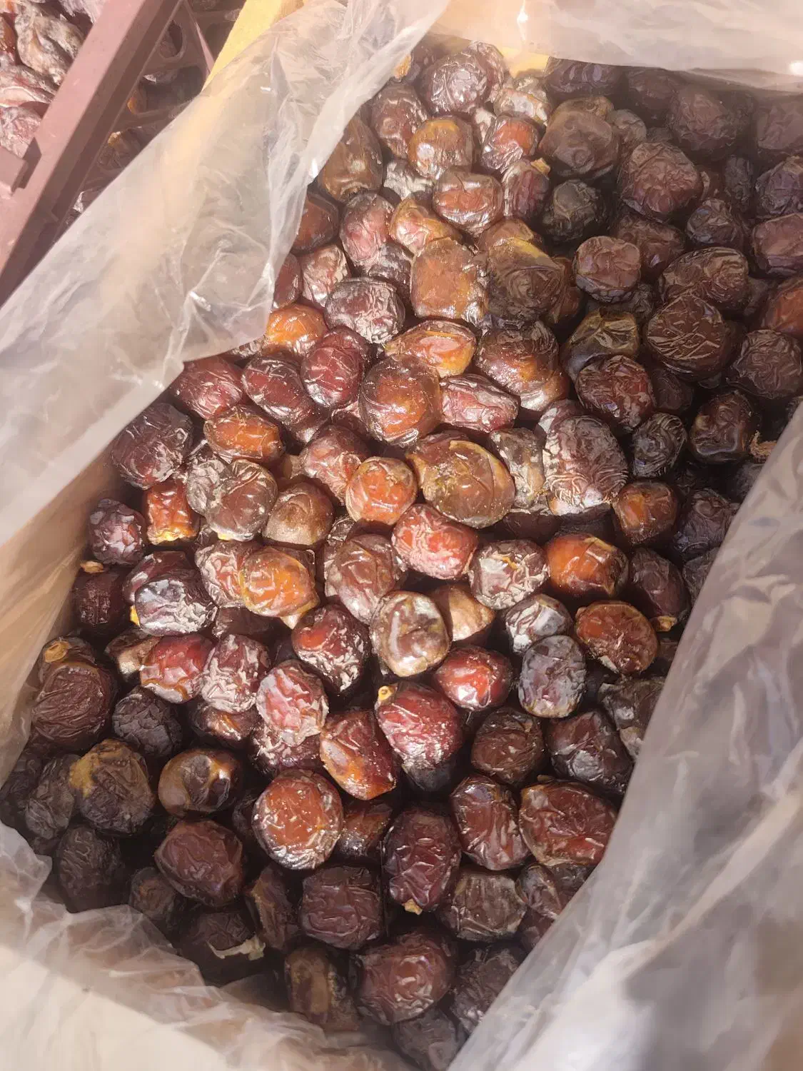 خرما ازهمه نوع عمده ای|عمده‌فروشی|رودان, |دیوار