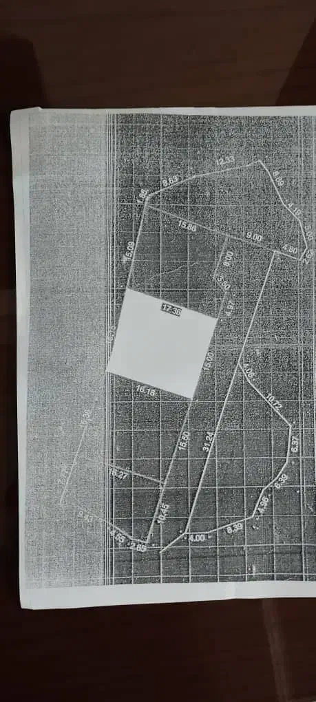 فروش زمین ۲۵۰ متری|فروش زمین و ملک کلنگی|واجارگاه, |دیوار