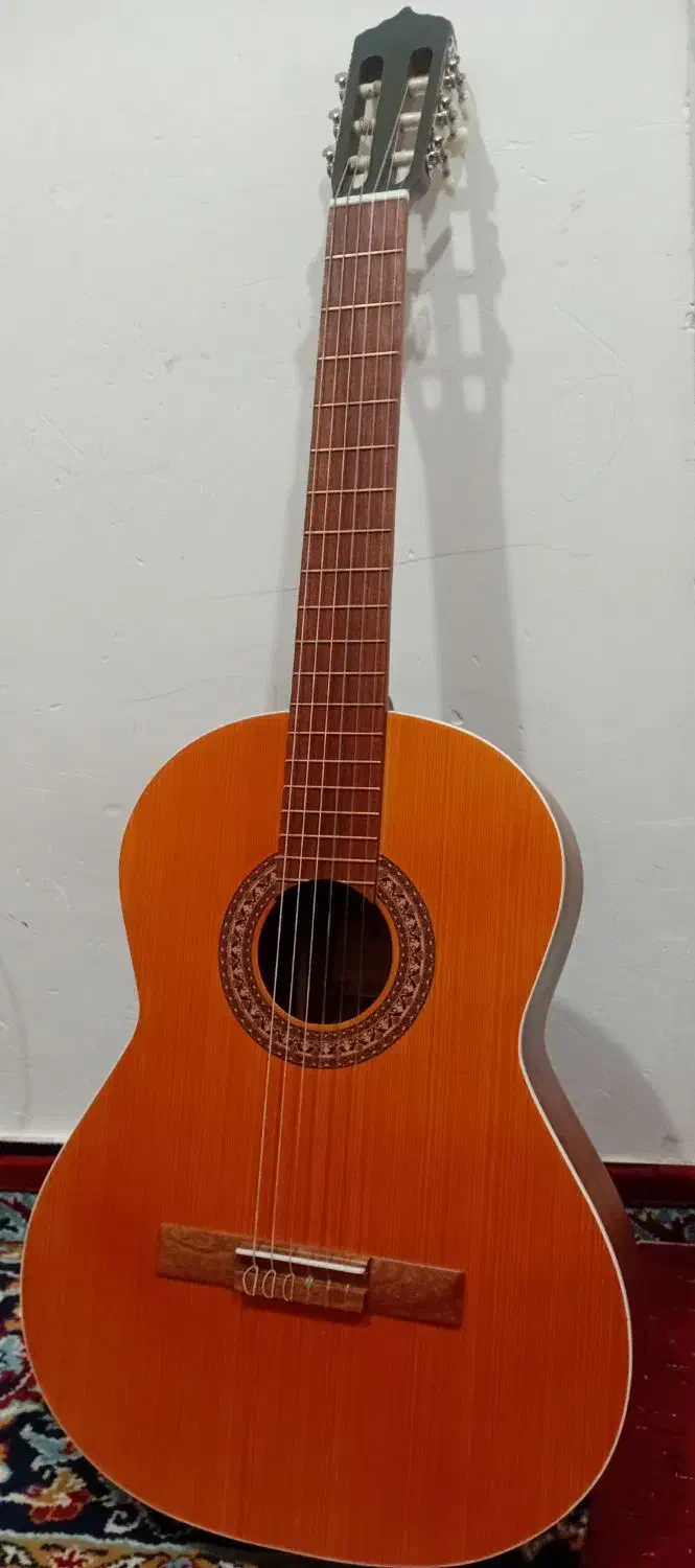 گیتار پارسی m5 سالم و نو|گیتار، بیس، امپلیفایر|کرمانشاه, |دیوار