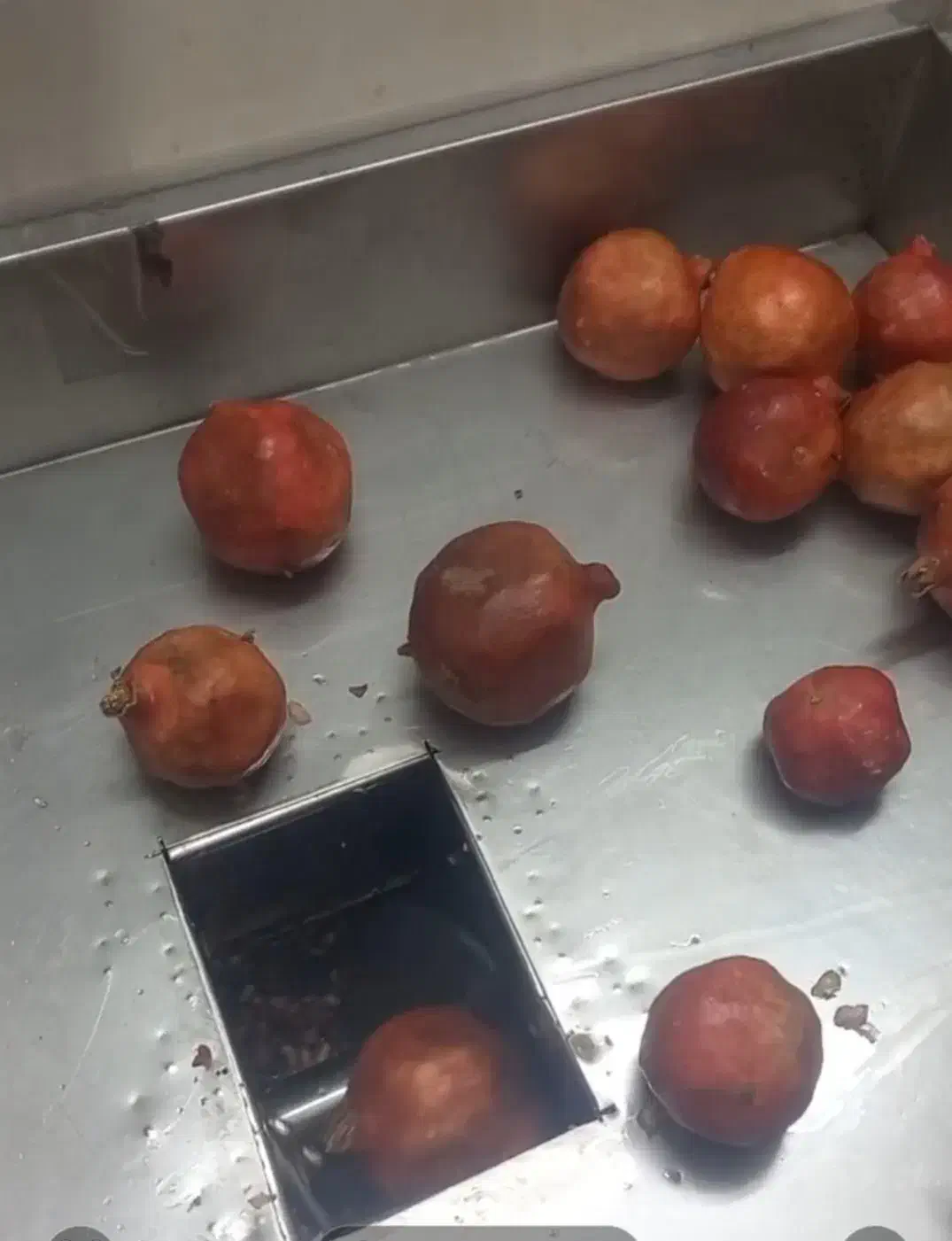 دستگاه آب انار گیری مدل گیربکسی موتور الترن|آبمیوه‌گیر و آب‌مرکبات‌گیر|تهران, تهرانسر شمالی|دیوار