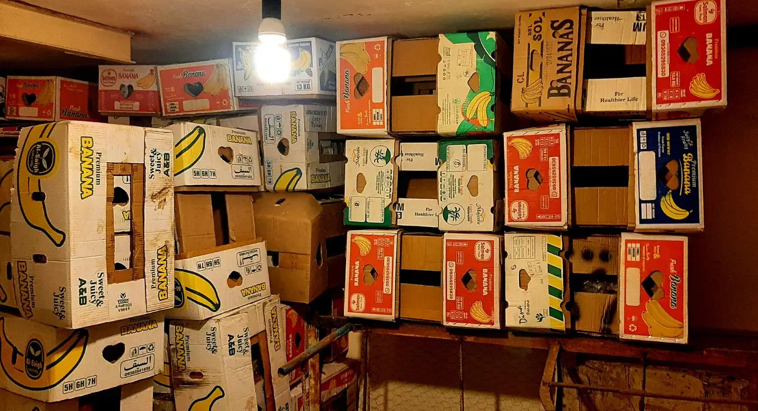 فروش تعداد بالا کارتن موز سالم|ابزارآلات|نهاوند, |دیوار