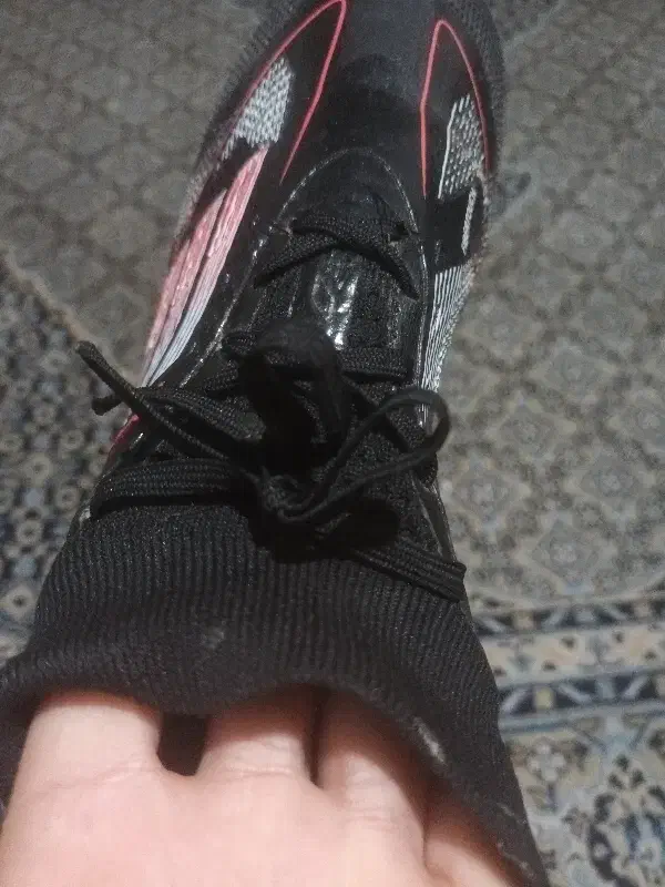 کفش استوک|کیف، کفش، کمربند|خشکبیجار, |دیوار