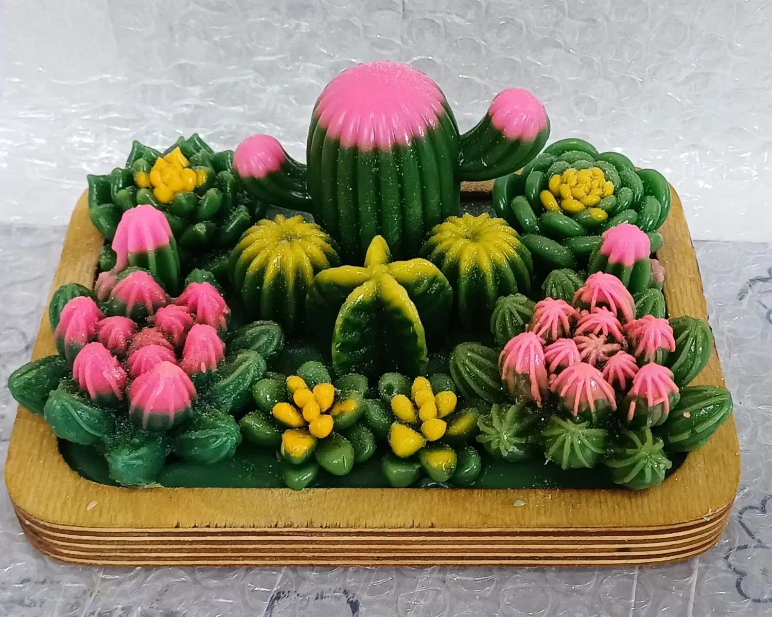 باغچه کاکتوس|کلکسیون و سرگرمی|قم, چهار مردان|دیوار