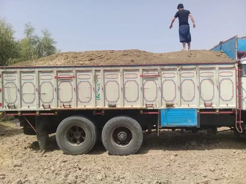 بندر کود مرغی|خدمات باغبانی و درختکاری|بندرعباس, |دیوار