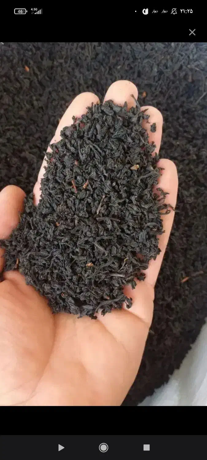 چای لاهیجان|خوردنی و آشامیدنی|گوگان, |دیوار