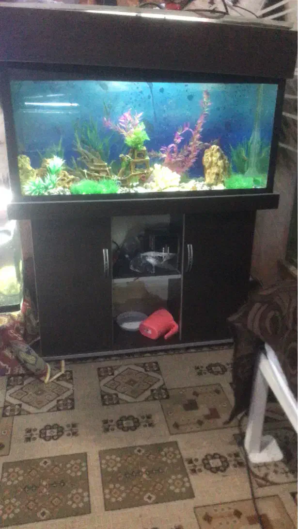 اکواریوم با پایه و کمد ام دی اف|ماهی|مشهد, ادیب نیشابوری (شهرک غرب)|دیوار