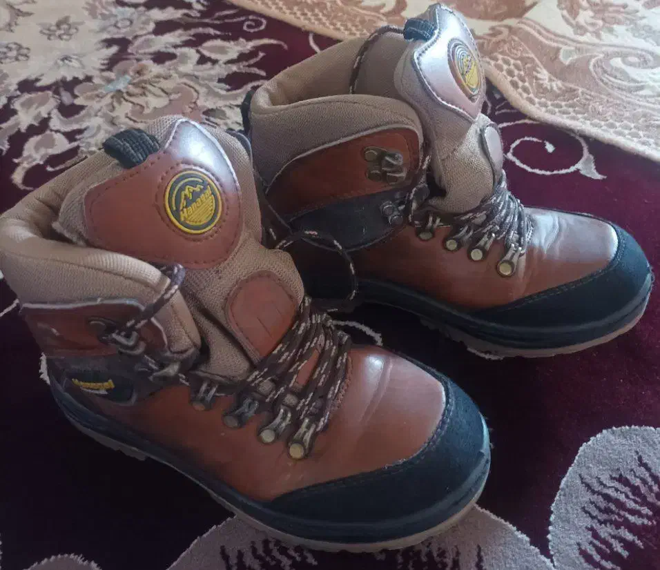 کفش|کیف، کفش، کمربند|دورود, |دیوار