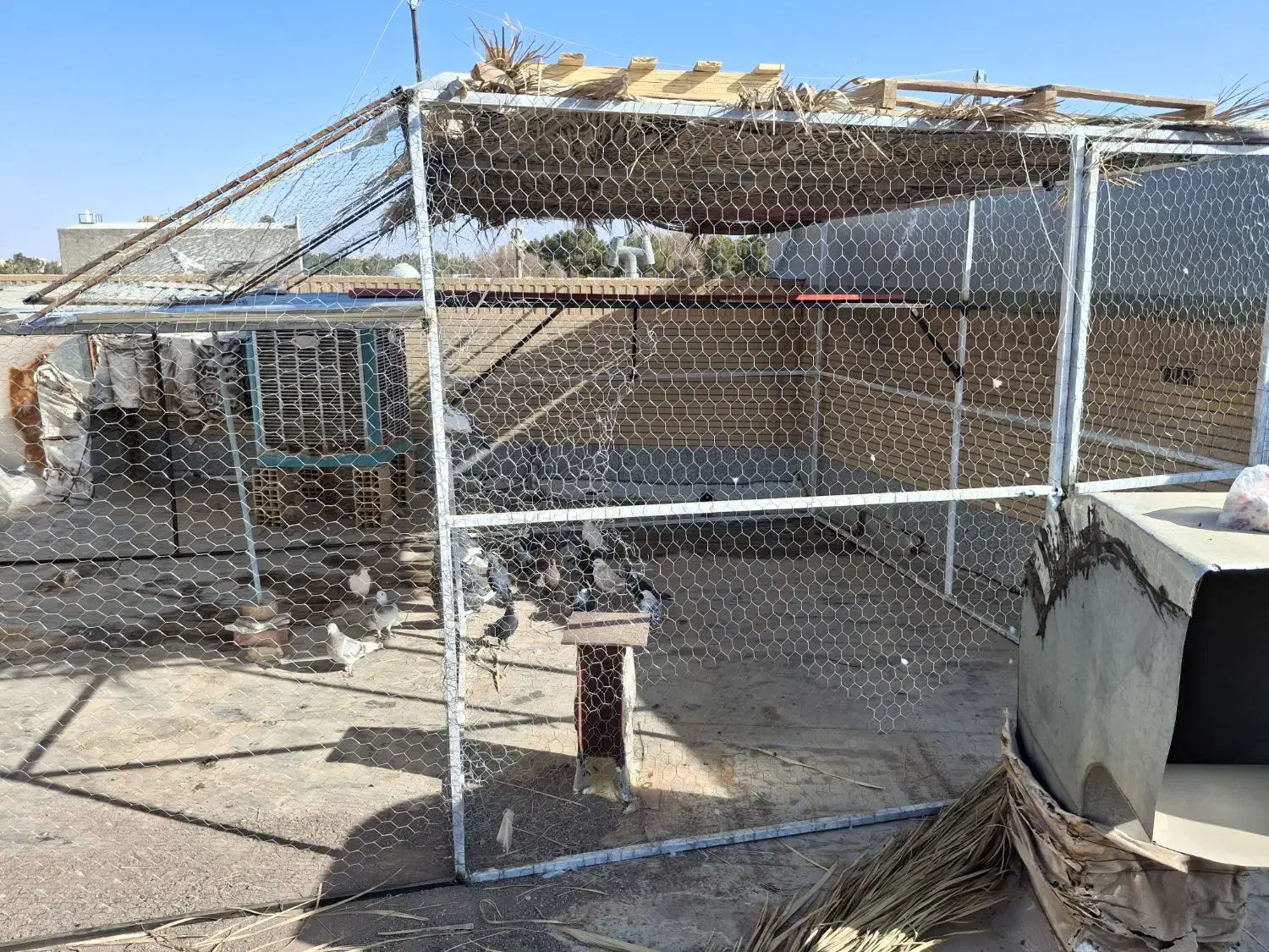 با سلام تور دام وقفس پرنده پنج در شش  بزرگ|لوازم جانبی حیوانات|رفسنجان, |دیوار