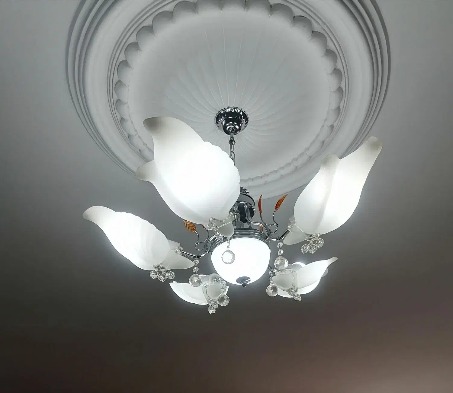 یک عدد لوستر|لوستر و چراغ آویز|نیشابور, جمهوری|دیوار