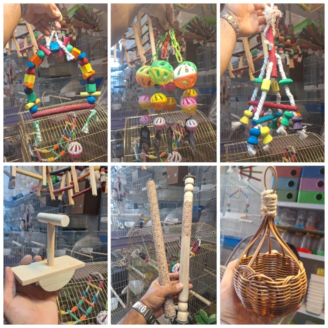 قفس پرنده لوازم کوله بازی لانه تاب دانه کف دریاوان|پرنده|اردبیل, |دیوار