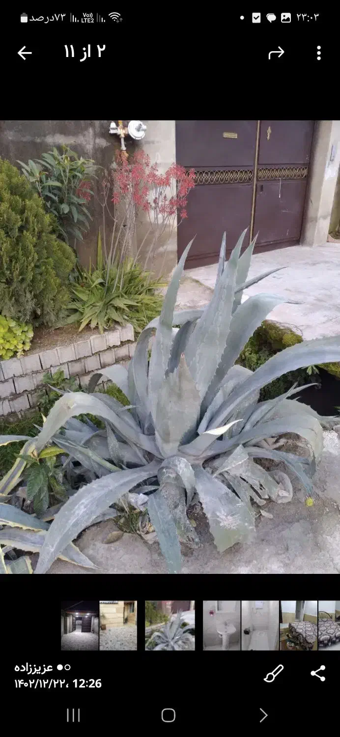 دوخوابه تمیز مبله حیاط دار با پارکینگ|اجارهٔ کوتاه‌مدت ویلا و باغ|آمل, |دیوار