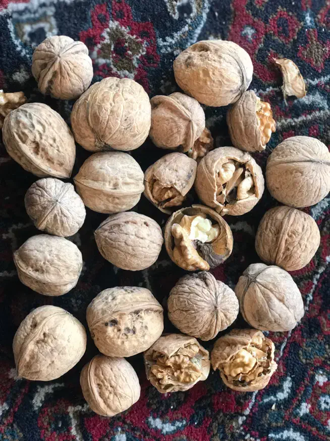 محصولات کشاورزی|خدمات باغبانی و درختکاری|سنندج, |دیوار