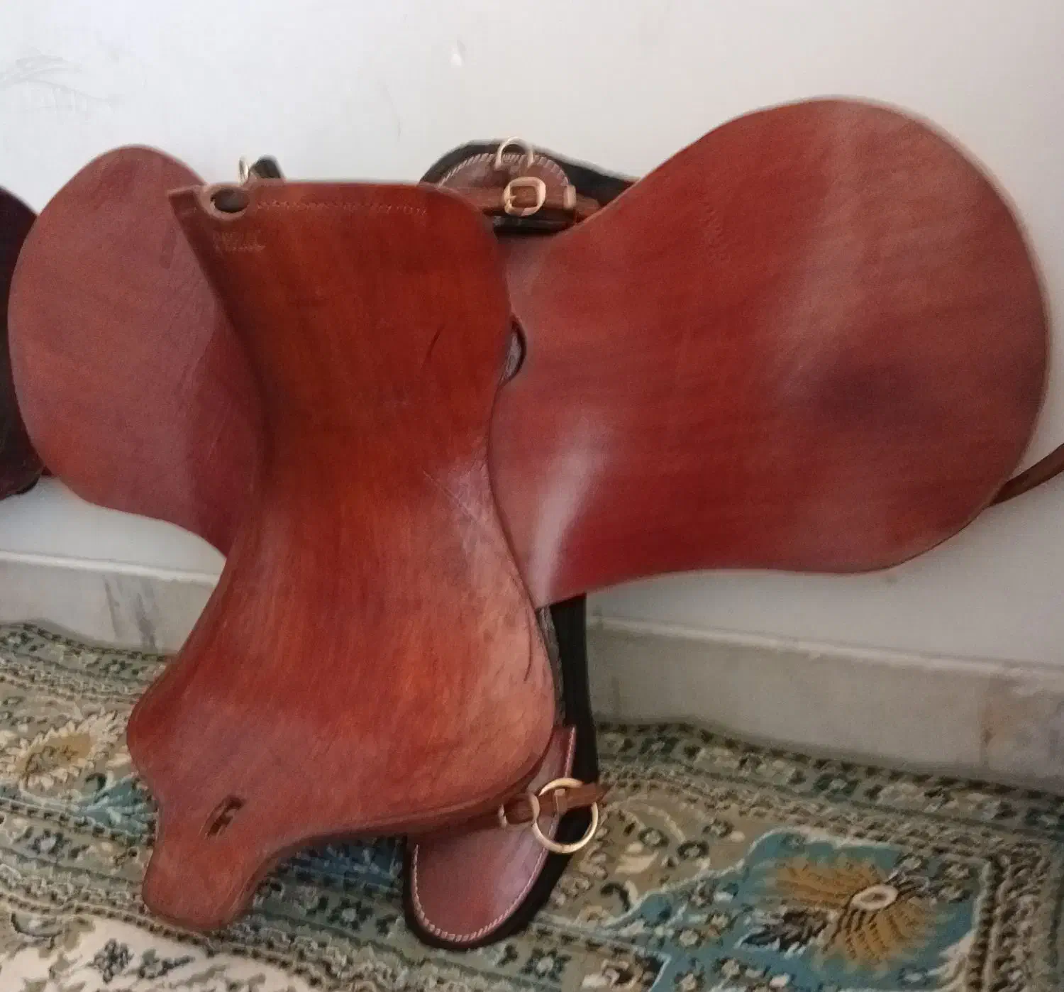 جهت فروش|اسب و تجهیزات اسبسواری|فلاورجان, |دیوار