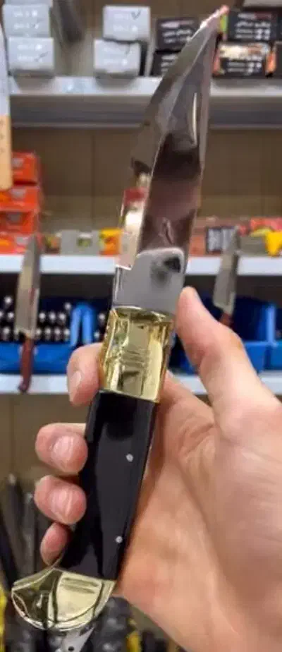 چاقوی هشت دنده زنجان|کوهنوردی و کمپینگ|زابل, |دیوار