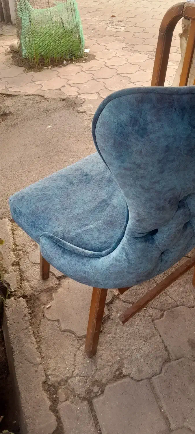 صندلی چستر|میز و صندلی غذاخوری|رشت, بلوار گیلان|دیوار