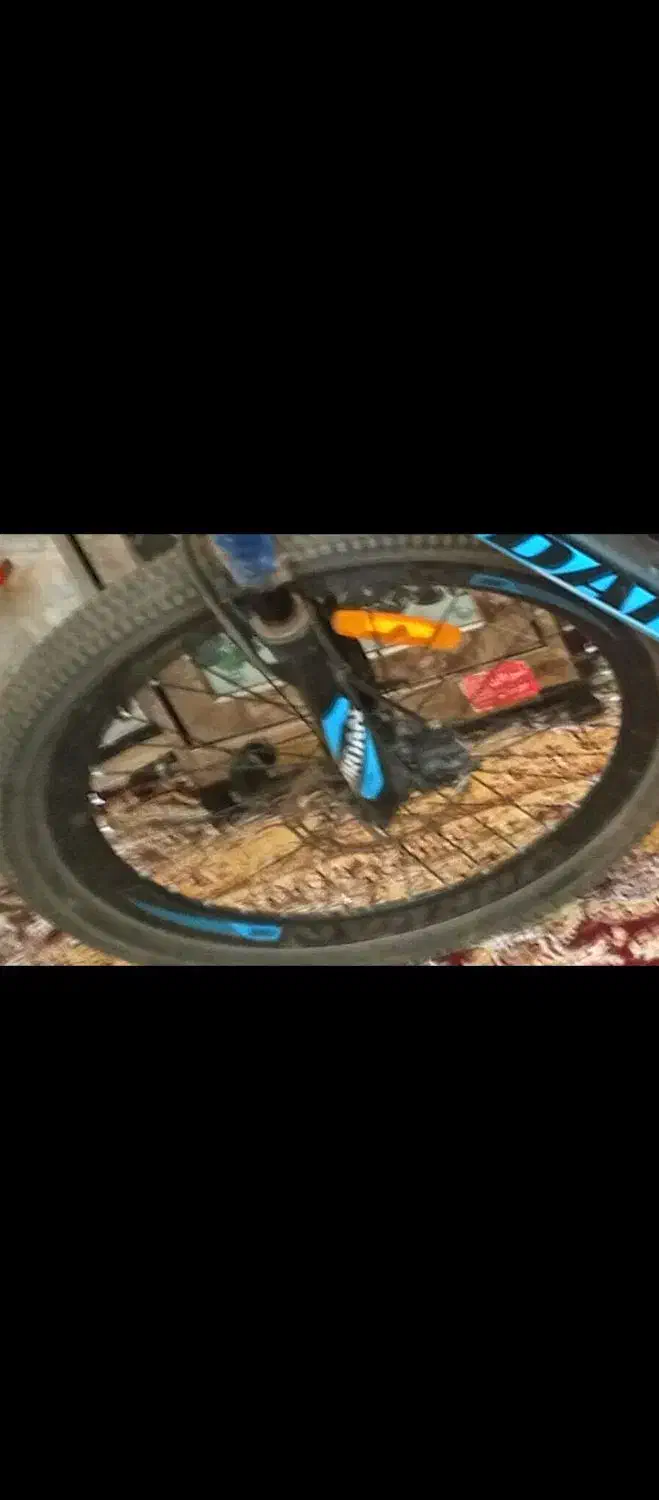 دوچرخه 24|دوچرخه، اسکیت، اسکوتر|تکاب, |دیوار