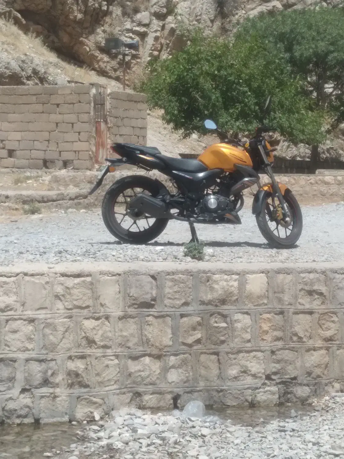 متور بنلی ۱۵۰|موتورسیکلت|ایلام, |دیوار