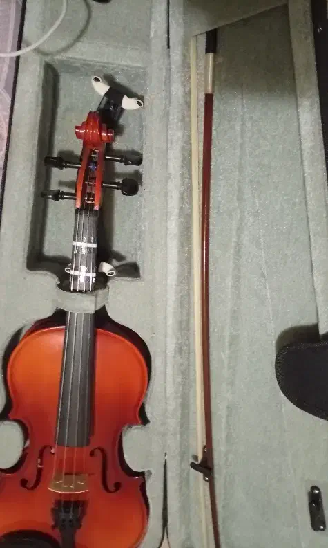 ویولن تی اف مبتدی و نیمه مبتدی|ویولن|تهران, حکیمیه|دیوار