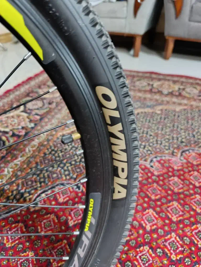 دوچرخه ۲۴|دوچرخه، اسکیت، اسکوتر|چهارباغ, |دیوار