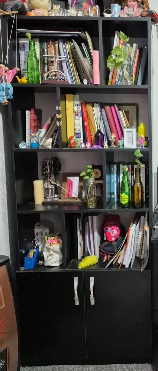 کتابخانه|کتابخانه، شلف، قفسههای دیواری|الوند, |دیوار