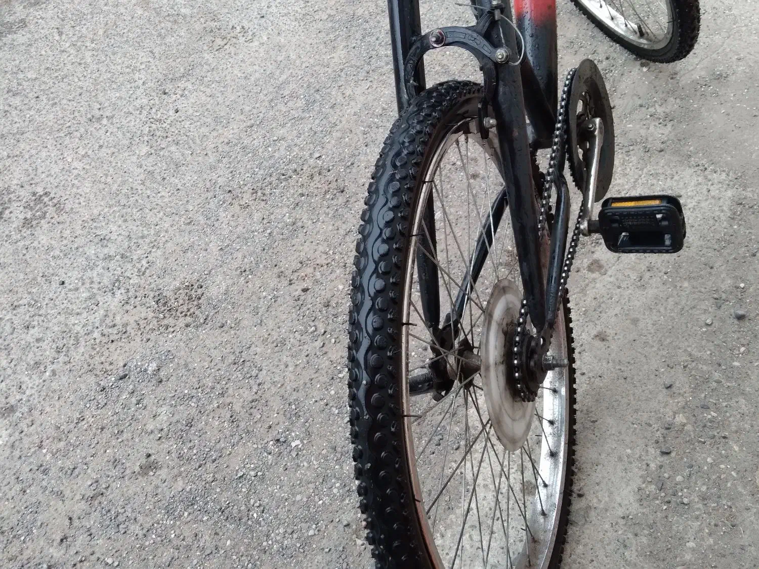 دوچرخه ۲۴|دوچرخه، اسکیت، اسکوتر|آستانه اشرفیه, |دیوار