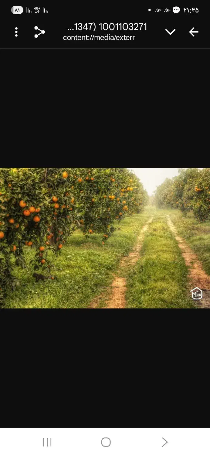 استخدام نگهبان جهت باغ میوه|استخدام سرایداری و نظافت|دزفول, |دیوار