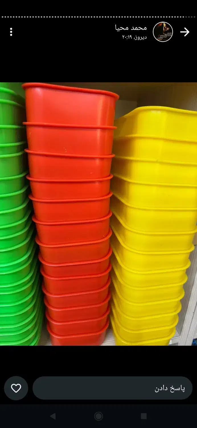 پرنده لوازم بازی و ملزومات عروس طوطی مرغ عشق|پرنده|لاهیجان, کوی زمانی|دیوار