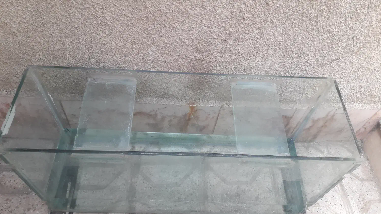 آگواریوم|ماهی|مشهد, شهید آوینی|دیوار