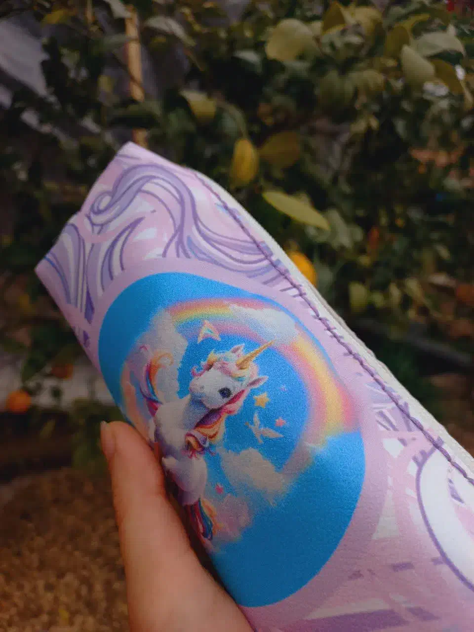 جامدادی|لوازم التحریر|آستانه اشرفیه, |دیوار