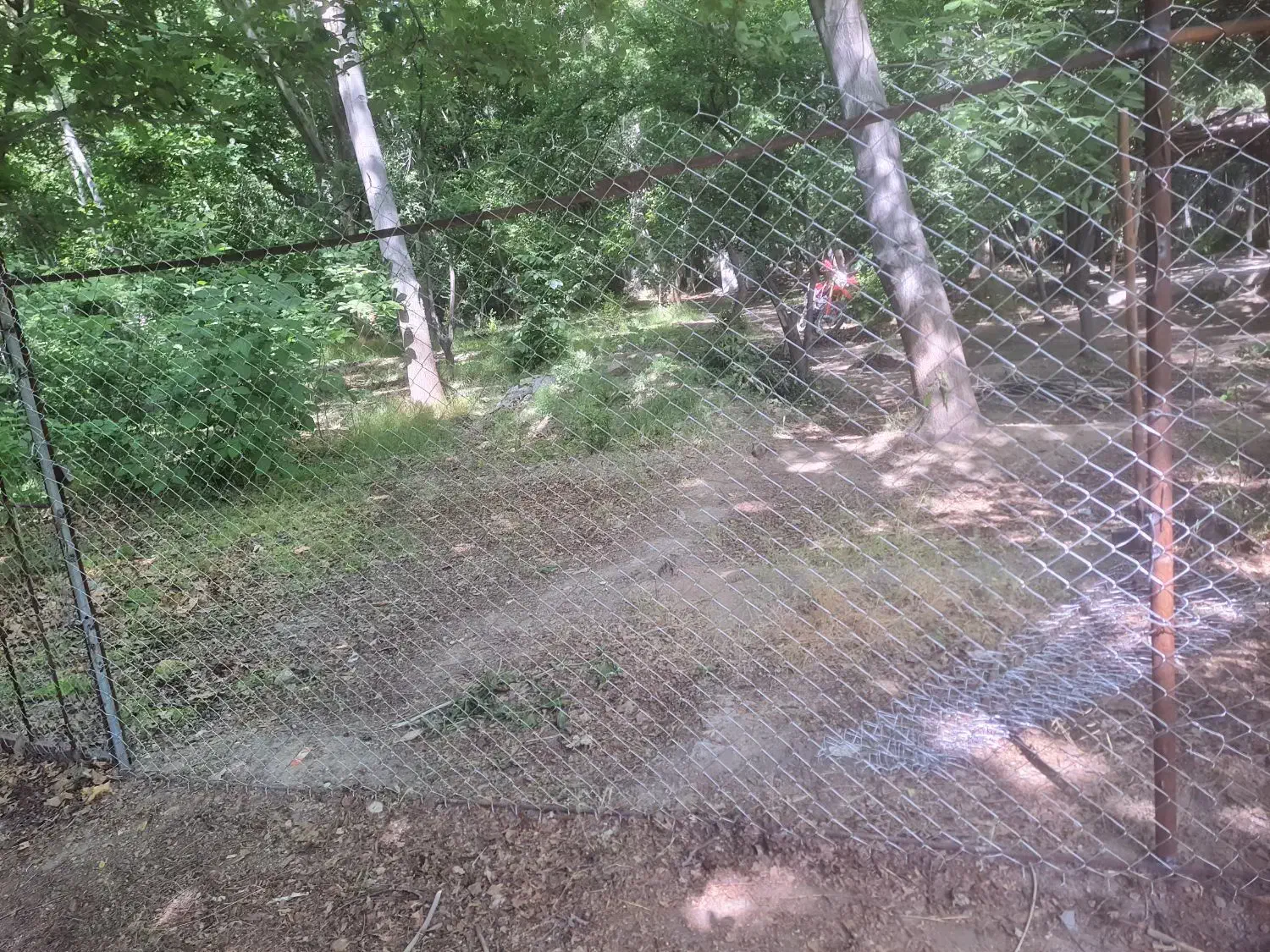 نصب و اجرای فنس و الاچیق به صورت 0تا100|خدمات پیشه و مهارت|شهرکرد, |دیوار