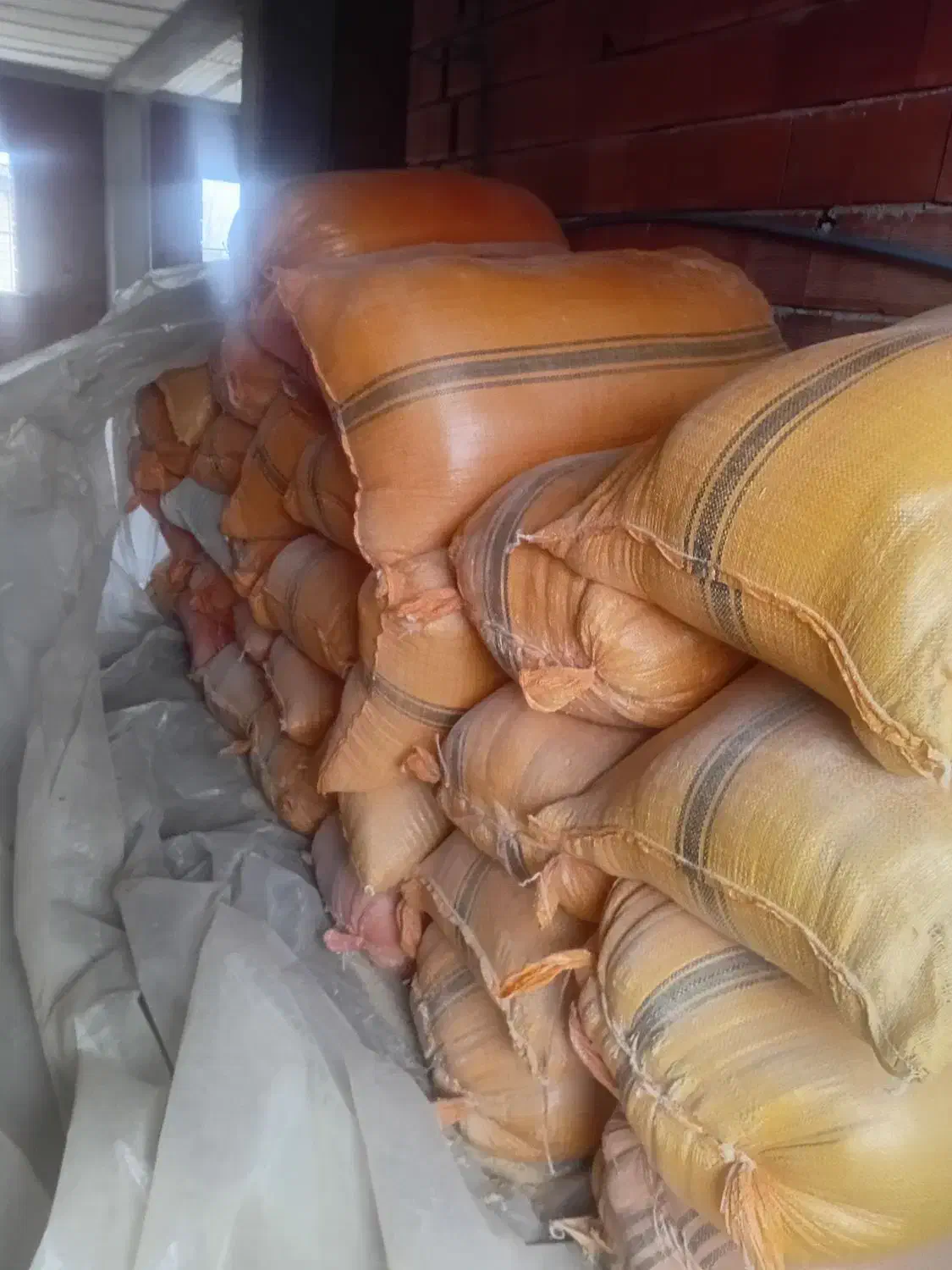 کپک|لوازم جانبی حیوانات|تالش, طولارود|دیوار