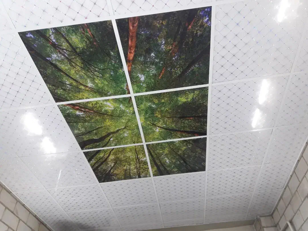 سقف کازب|خدمات پیشه و مهارت|گرگان, |دیوار