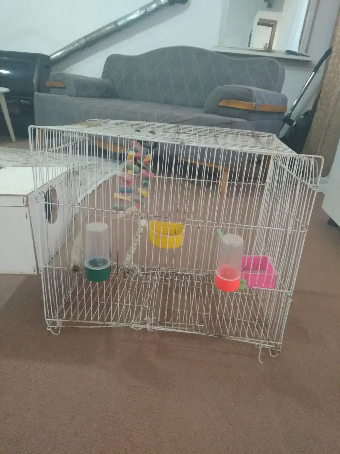 قفس پرنده بزرگ با لونه اش ۳۰۰همش باهم|لوازم جانبی حیوانات|مشهد, انقلاب|دیوار