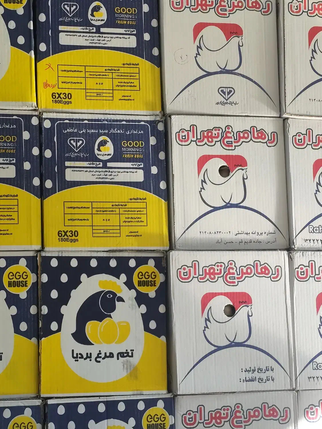 بنکداری تخم مرغ عمده و تک|خوردنی و آشامیدنی|تهران, فدک|دیوار